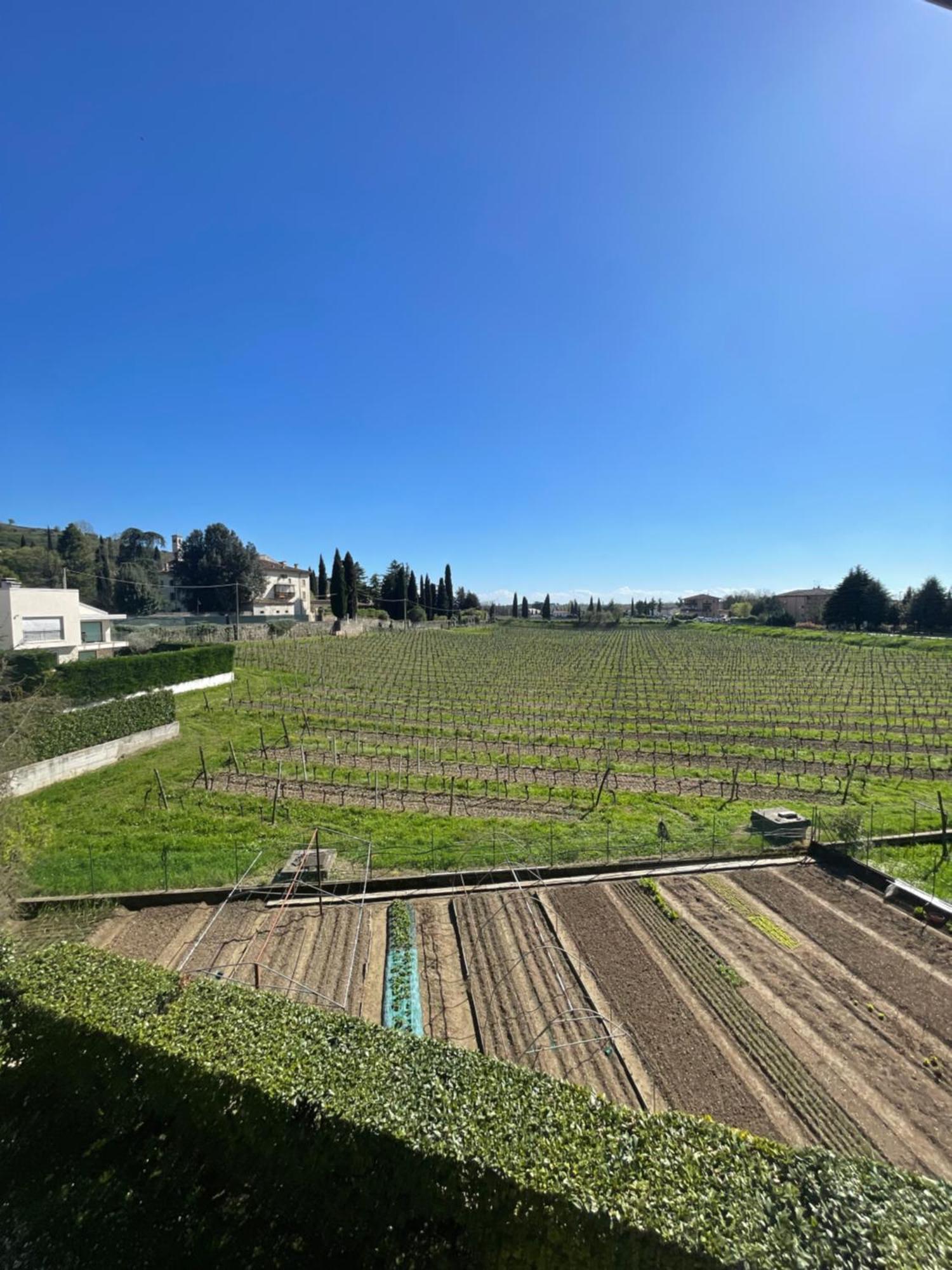 Appartamento Casa San Francesco Parona di Valpolicella Esterno foto